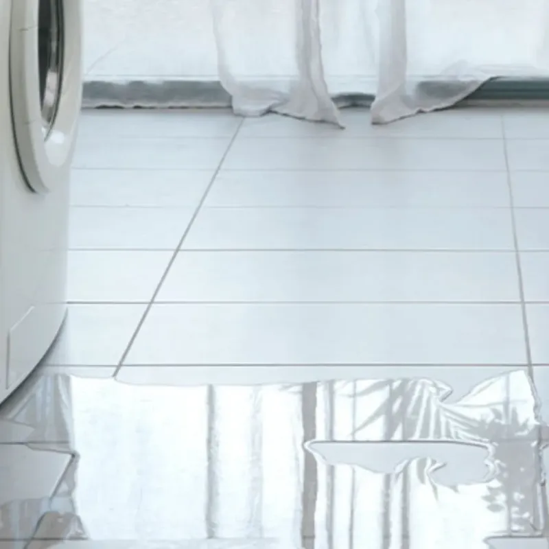 Appliance Leak Cleanup in Heyworth, IL