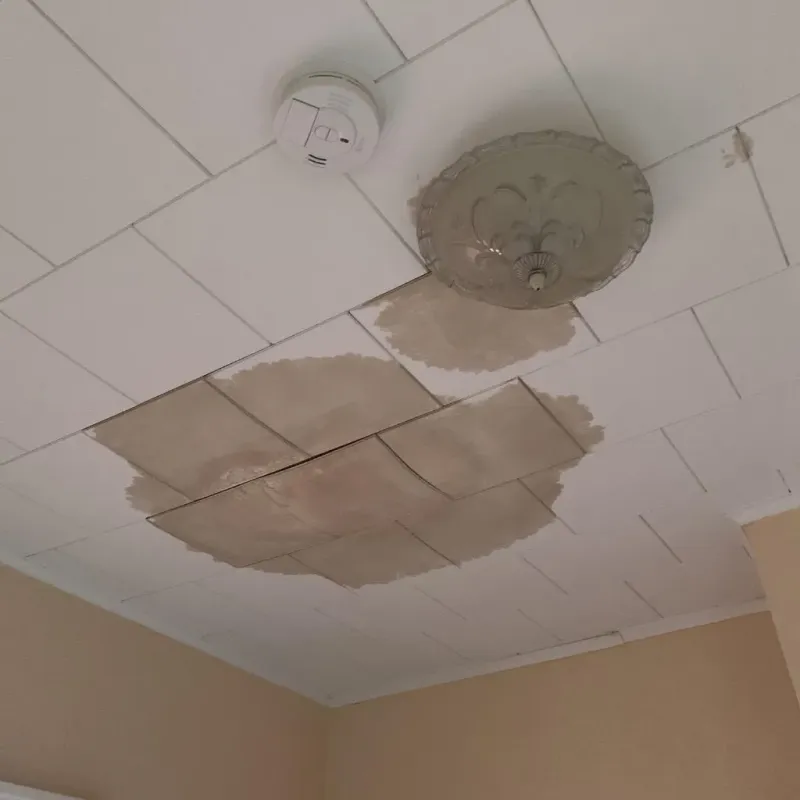 Ceiling Water Damage Repair in Heyworth, IL