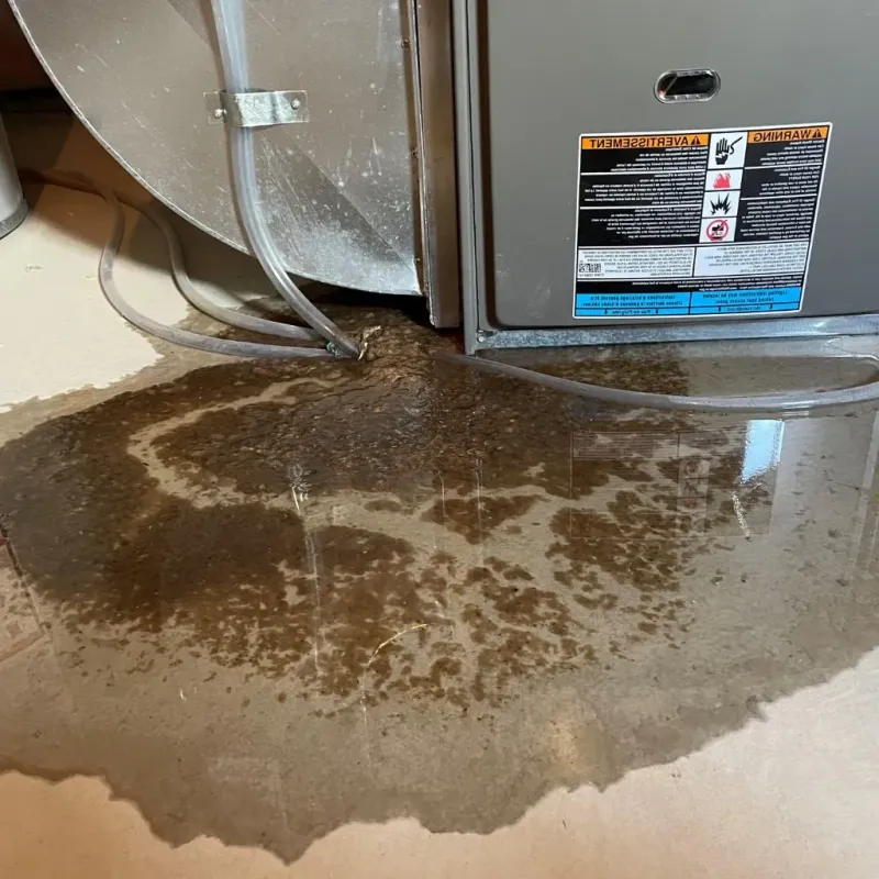 Pipe Burst and Leak Restoration in Heyworth, IL