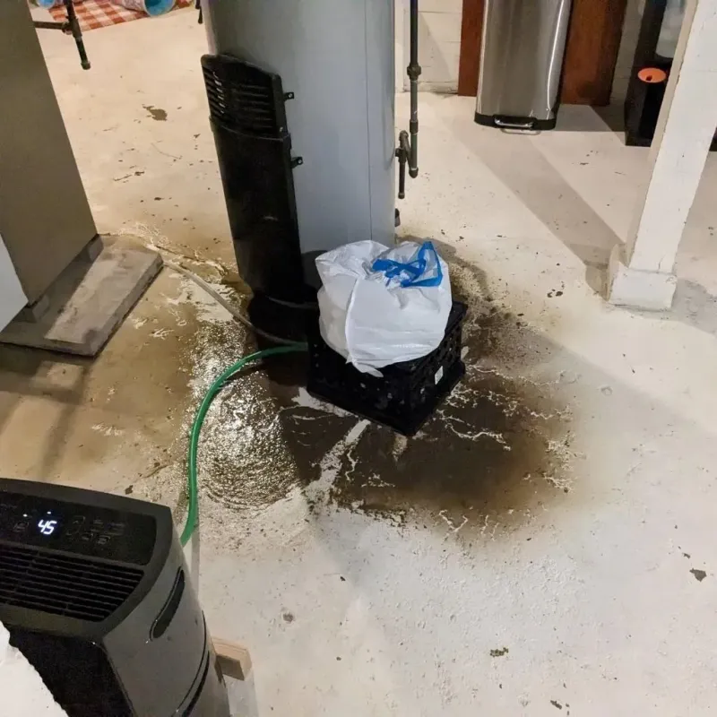 Sewage Backup Cleanup Service in Heyworth, IL